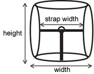 Prong buckle measurements